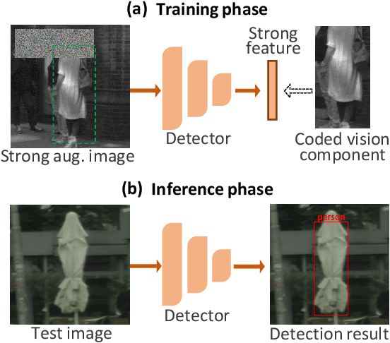 Figure 1 for Rethinking Weak-to-Strong Augmentation in Source-Free Domain Adaptive Object Detection